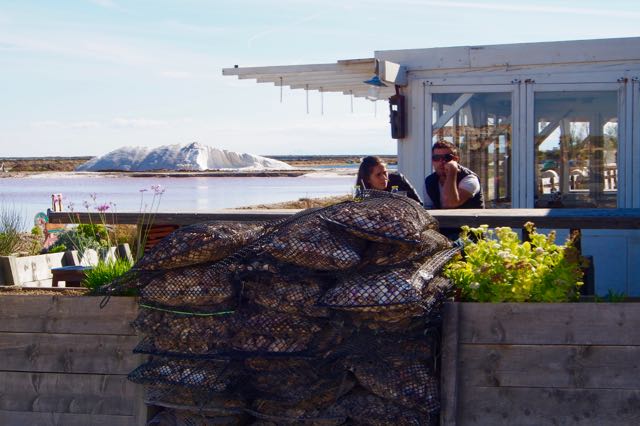 Gruissan Salt Oysters.