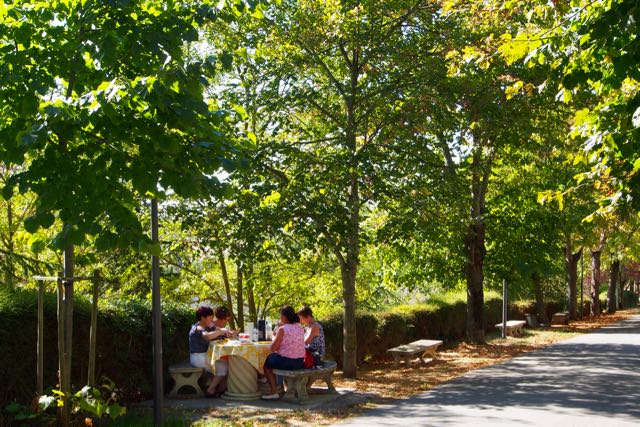 Fanjeaux Picnic Allee.