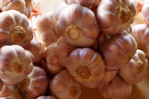 Pink Garlic.