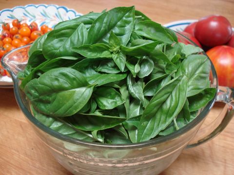 Basil leaves.